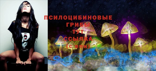 круглые Богородицк