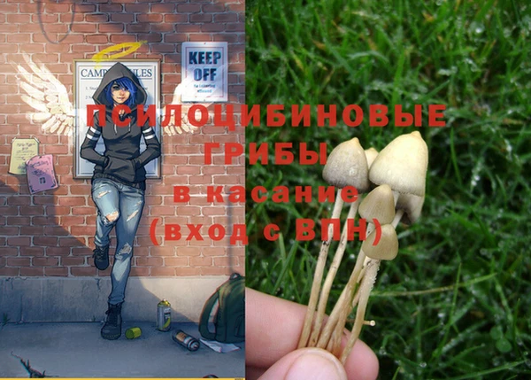 круглые Богородицк