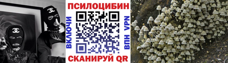 Галлюциногенные грибы Psilocybe  дарнет шоп  Тольятти 